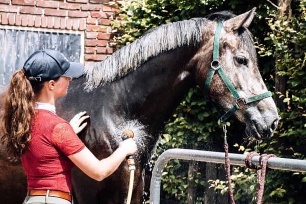 9 Essentials every rider should have in their Grooming Kit