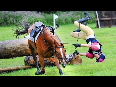 Horse fall