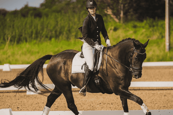 6 Tips how to improve your dressage score