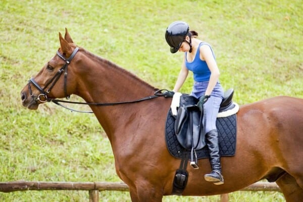12 Beginner Horse Riding Exercises