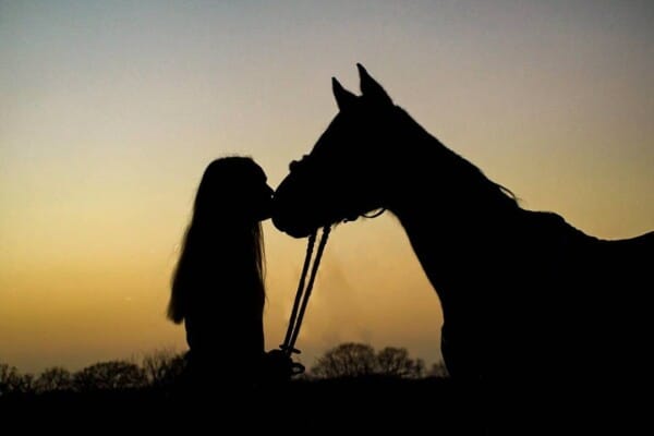 Teach Horse How to Kiss