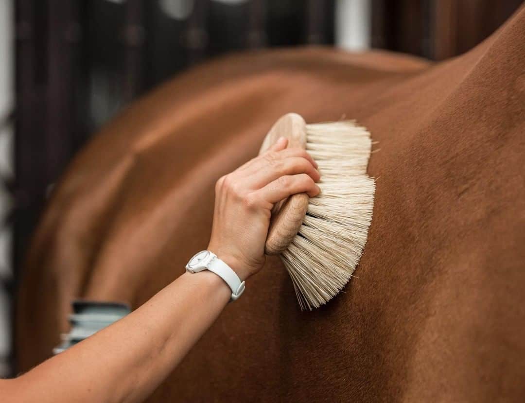 Horse Grooming tricky