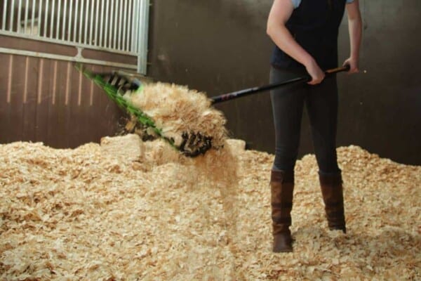 STABLE MUcking