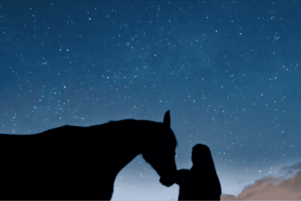 80 Astrological Names for Horses