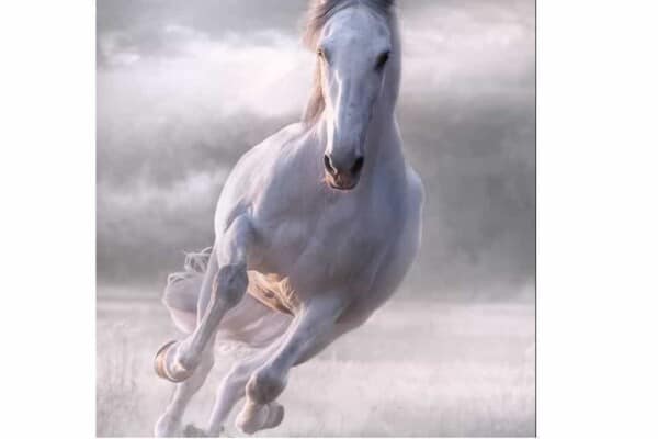 25 Names for Horses From Greek Mythology