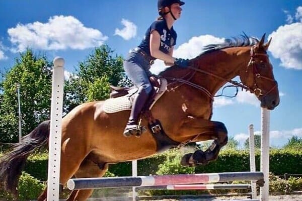 The Best Horse Breeds for Jumping