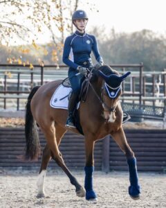 5 Best Horse Breeds for Dressage - Seriously Equestrian