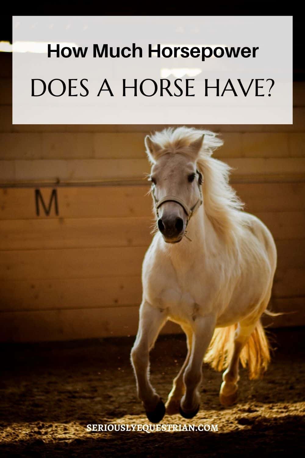 How Much Horsepower Does a Horse Have Pin