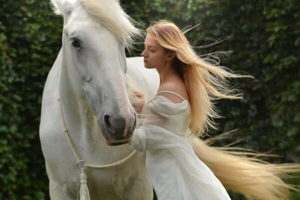 20 Most Beautiful Horse Breeds in the World