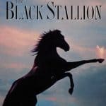 25 Best Horse Movies You Should Totally Watch – The Black Stallion