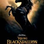 25 Best Horse Movies You Should Totally Watch – The Young Black Stallion