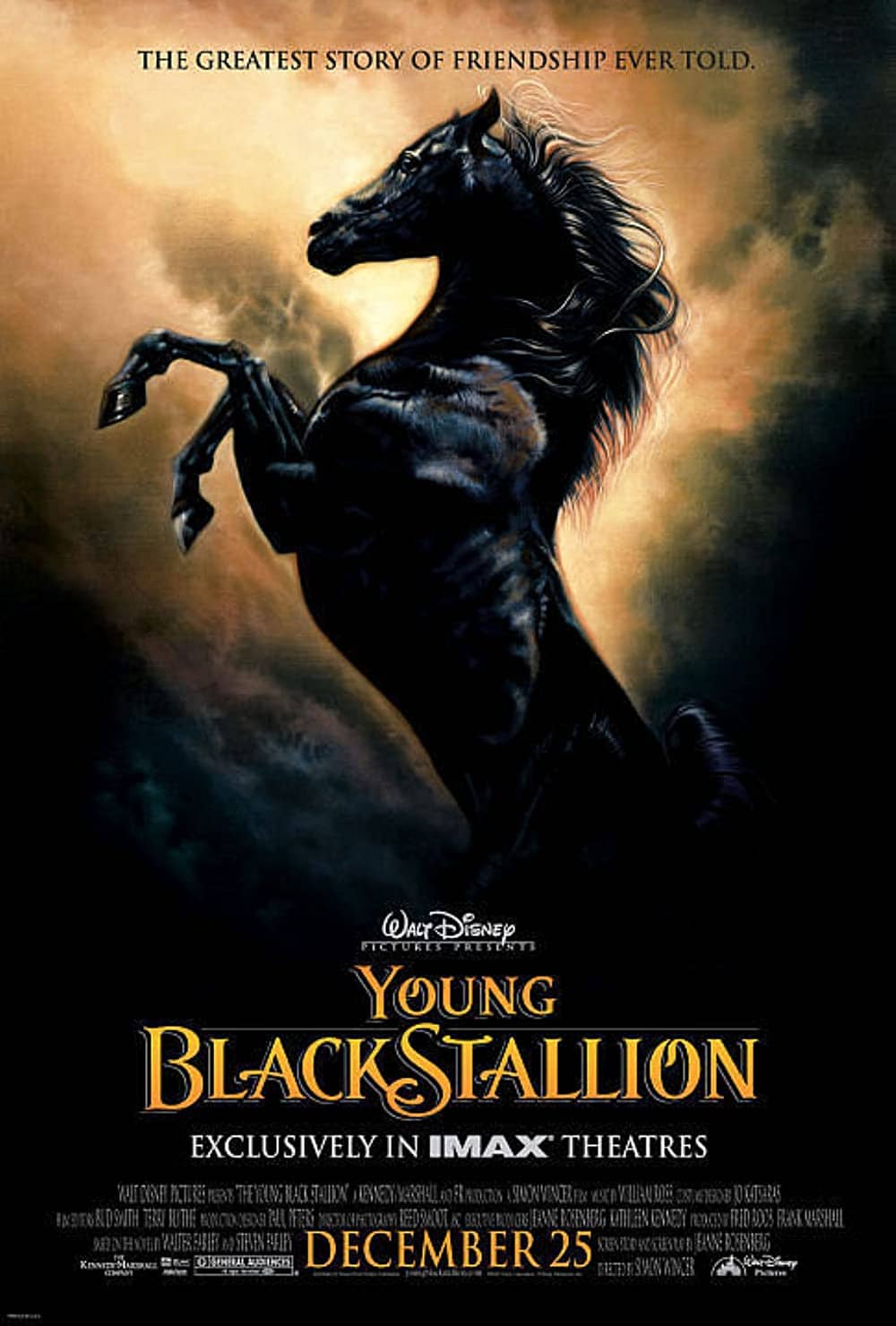 25 Best Horse Movies You Should Totally Watch – The Young Black Stallion