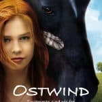 25 Best Horse Movies You Should Totally Watch – Windstorm