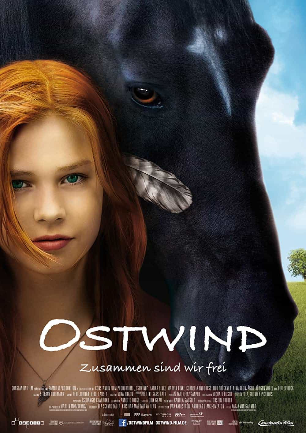 25 Best Horse Movies You Should Totally Watch – Windstorm
