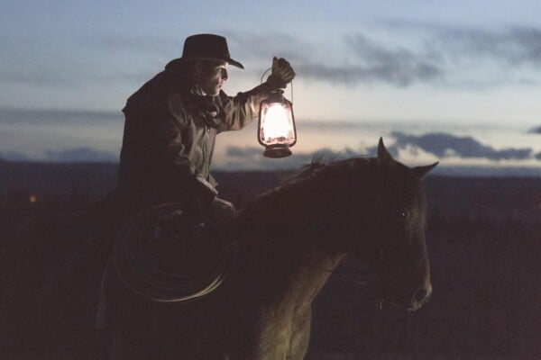 Can Horses See in the Dark?