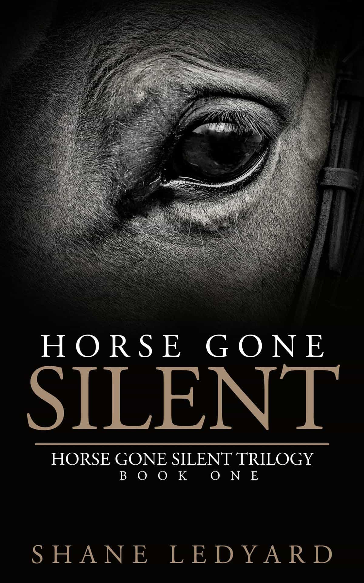Horse Gone Silent by Shane Ledyard