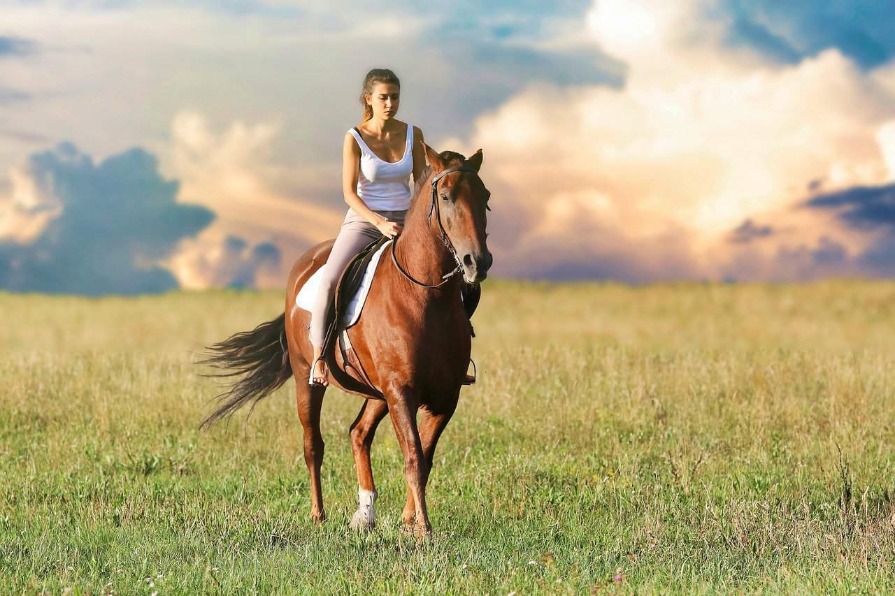 Horse Riding – Enjoyable