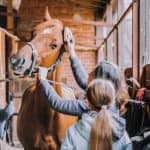 Horse Riding – Grooming