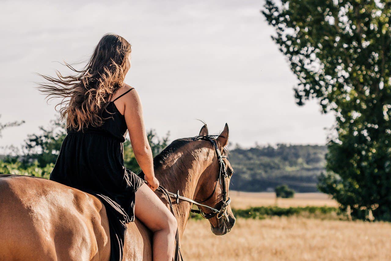 Horse Riding – Rider