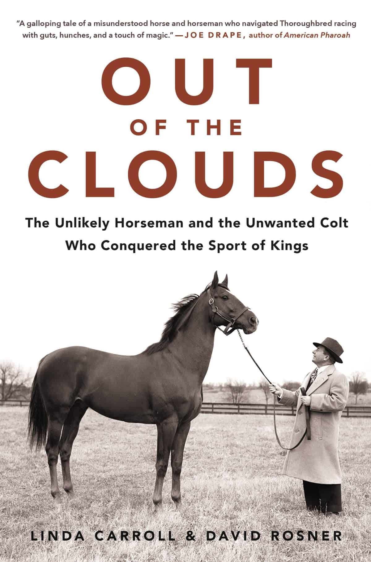 Out of the Clouds by Linda Carroll and David Rosner