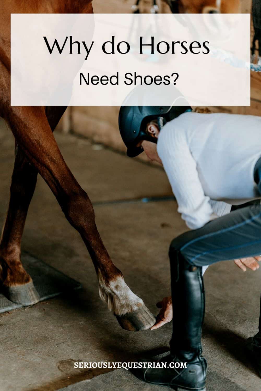 Why do Horses Need Shoes Pin