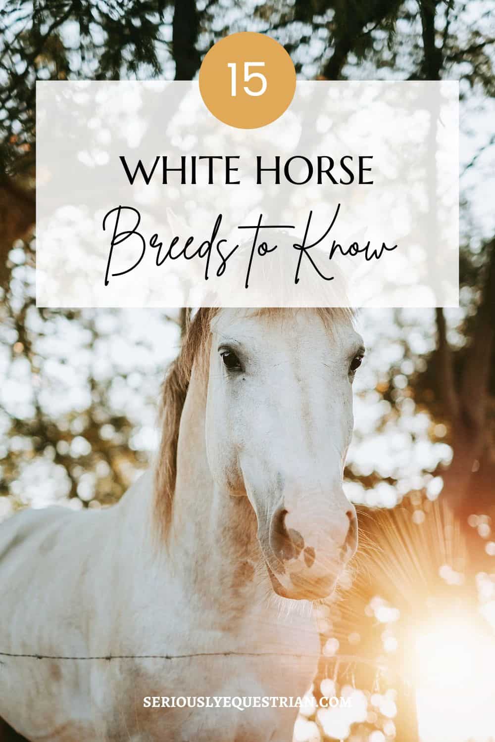 white horses pin
