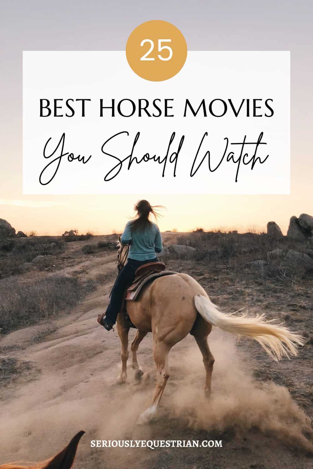 Horse Movies Pin
