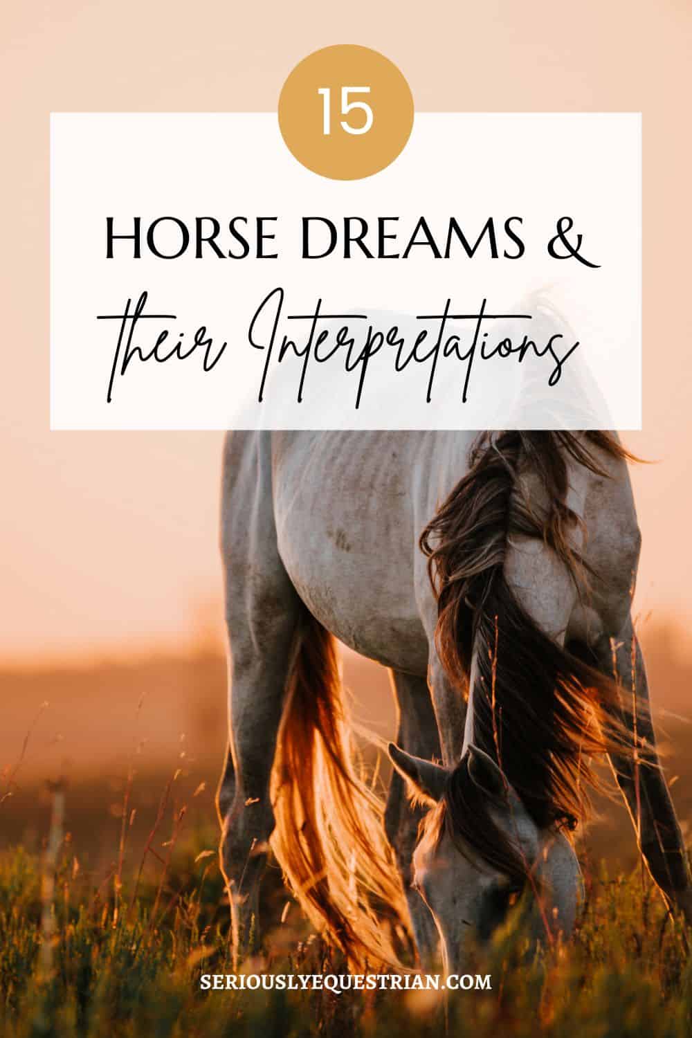 Horse Dreams Pin