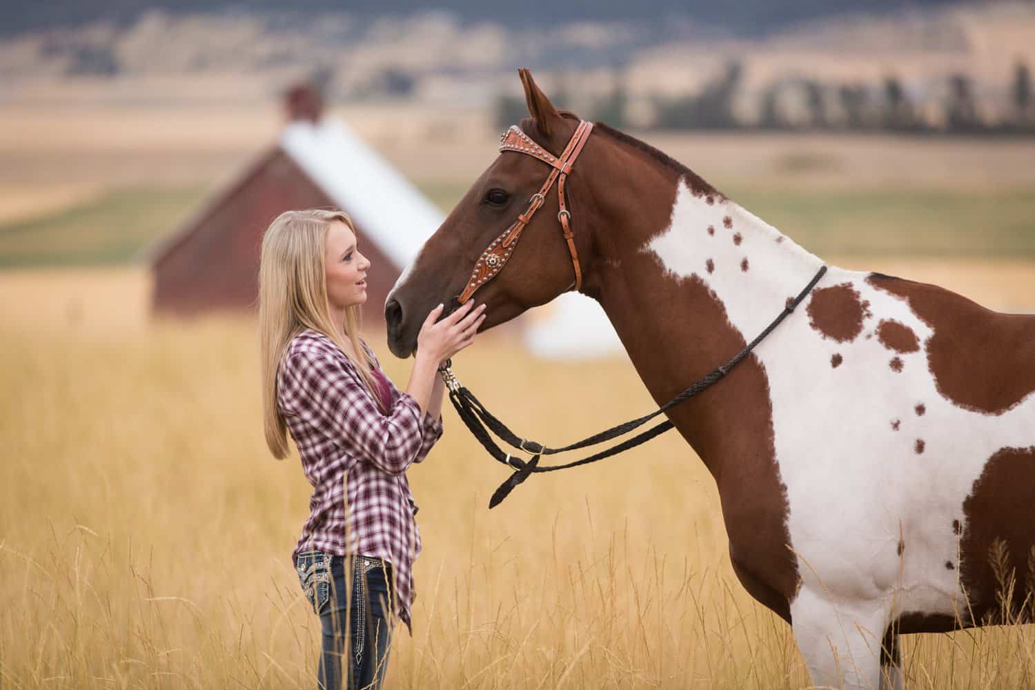 Attractive young lady and horse looking at each other